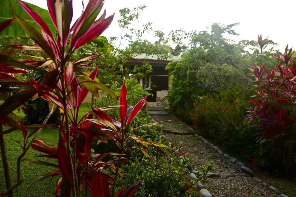 Laureles Collection Uvita - Cabinas Los Laureles Hotel Exterior photo